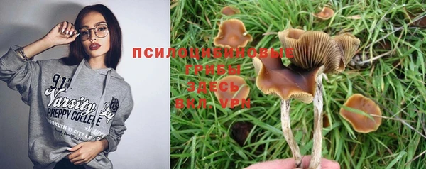 соль курить ск Алексеевка